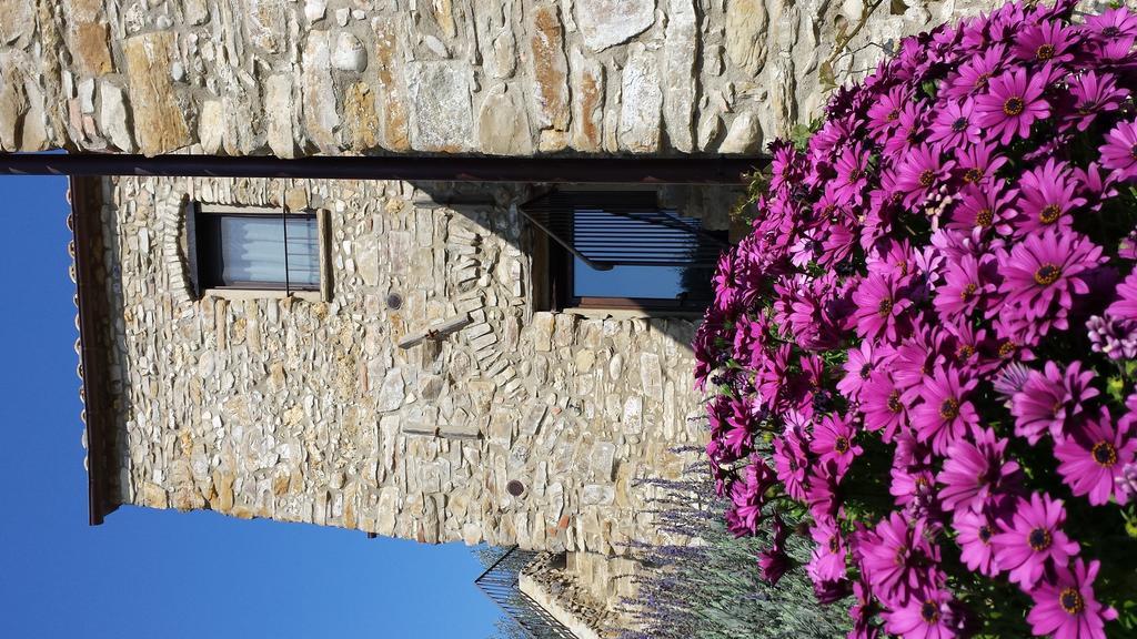 Agriturismo C'Era Una Volta Camporosso  Exterior photo